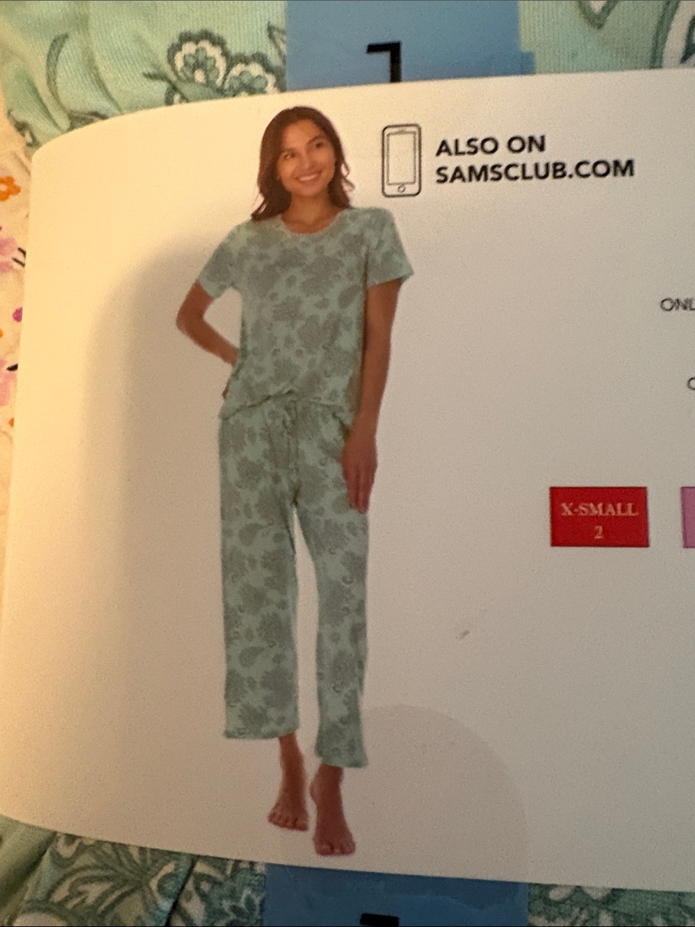 Flora Nikrooz Mint Paisley Short Sleeve Pajama Set - Picture 4 of 4
